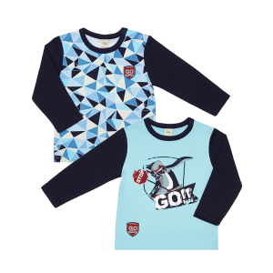 Футболки Северный ветер голубые 2 шт.