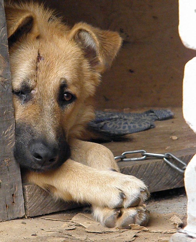 #PHOTO_2# Когда уже смотреть стало не так большно и страшное осталось позади