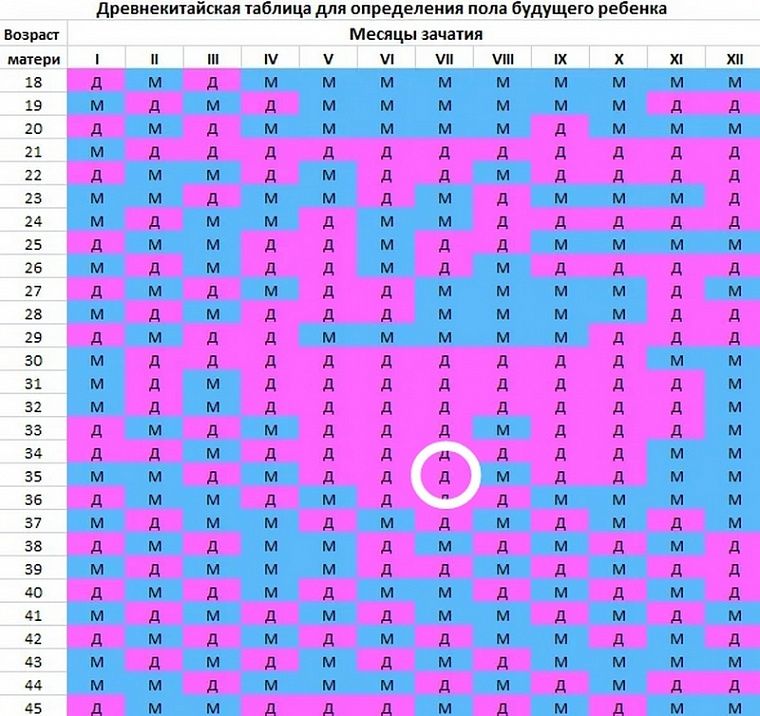 Узнать будущего ребенка по фото