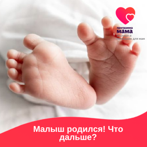 Курс "Малыш родился! Что дальше?" Курс "Малыш родился! Что дальше?"