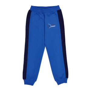 Брюки Трафик голубые футер