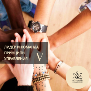 Лидер и команда. Принцип управления. (ступень 5)