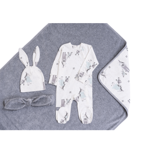 Комплект на выписку весна, серый