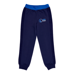 Брюки Трафик синие футер