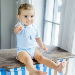 Боди Кролики голубой Боди Кролики голубой