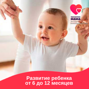 Курс "Развитие ребенка от 6 до 12 месяцев" Курс "Развитие ребенка от 6 до 12 месяцев"