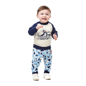 Брюки Северный ветер футер набивной