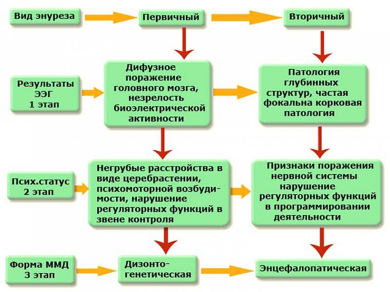 Энурез - симптомы, признаки, причины и лечение у взрослых в Москве в «СМ-Клиника»